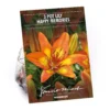 None Pot Lily Happy Memories Flower Bulbs -Shed And Soil Sales 12889025 1365020584705630