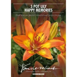 None Pot Lily Happy Memories Flower Bulbs -Shed And Soil Sales 12889025 1465020584746304
