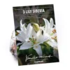 Oriental Lily Siberia -Shed And Soil Sales 12889026 1885020584708318