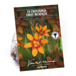 Crocosmia Emily McKenzie