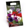 None Anemones Coronaria De Caen 1 None Anemones Coronaria De Caen -Shed And Soil Sales 12889212 1665022410501031