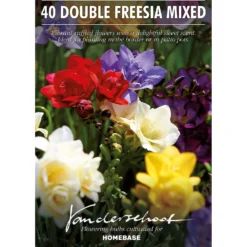 None Freesia Double Mixed -Shed And Soil Sales 12889215 6245022410588274
