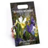 None Dutch Iris Mixed -Shed And Soil Sales 12889216 3905022410495844