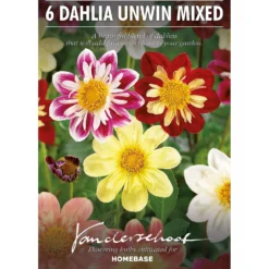 None Dahlias Unwinn Collorette Mixed -Shed And Soil Sales 12889219 3855020401912594