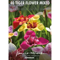 None Tigridias Pavonia Mixed -Shed And Soil Sales 12889221 1795022410827017