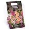 None Gladioli Nanus Mixed -Shed And Soil Sales 12889222 1015022410499204