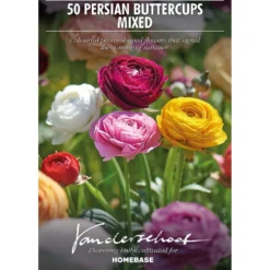 None Ranunculus Mixed -Shed And Soil Sales 12889396 6495022410825739