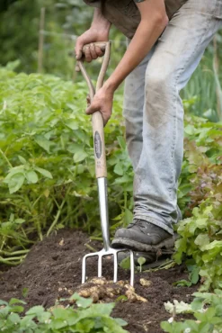 Spear & Jackson Traditional Stainless Digging Fork -Shed And Soil Sales 12904675 1274851072244143