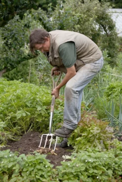 Spear & Jackson Traditional Stainless Digging Fork -Shed And Soil Sales 12904675 2754851072222033