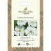 Country Living Cosmos Psyche White Seeds -Shed And Soil Sales 13118196 1804888659554541