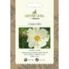 Country Living Cosmos Kiiro Seeds -Shed And Soil Sales 13118197 4544888659731370