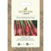 Country Living Onion Spring Red Toga Seeds -Shed And Soil Sales 13118246 1864888892460768