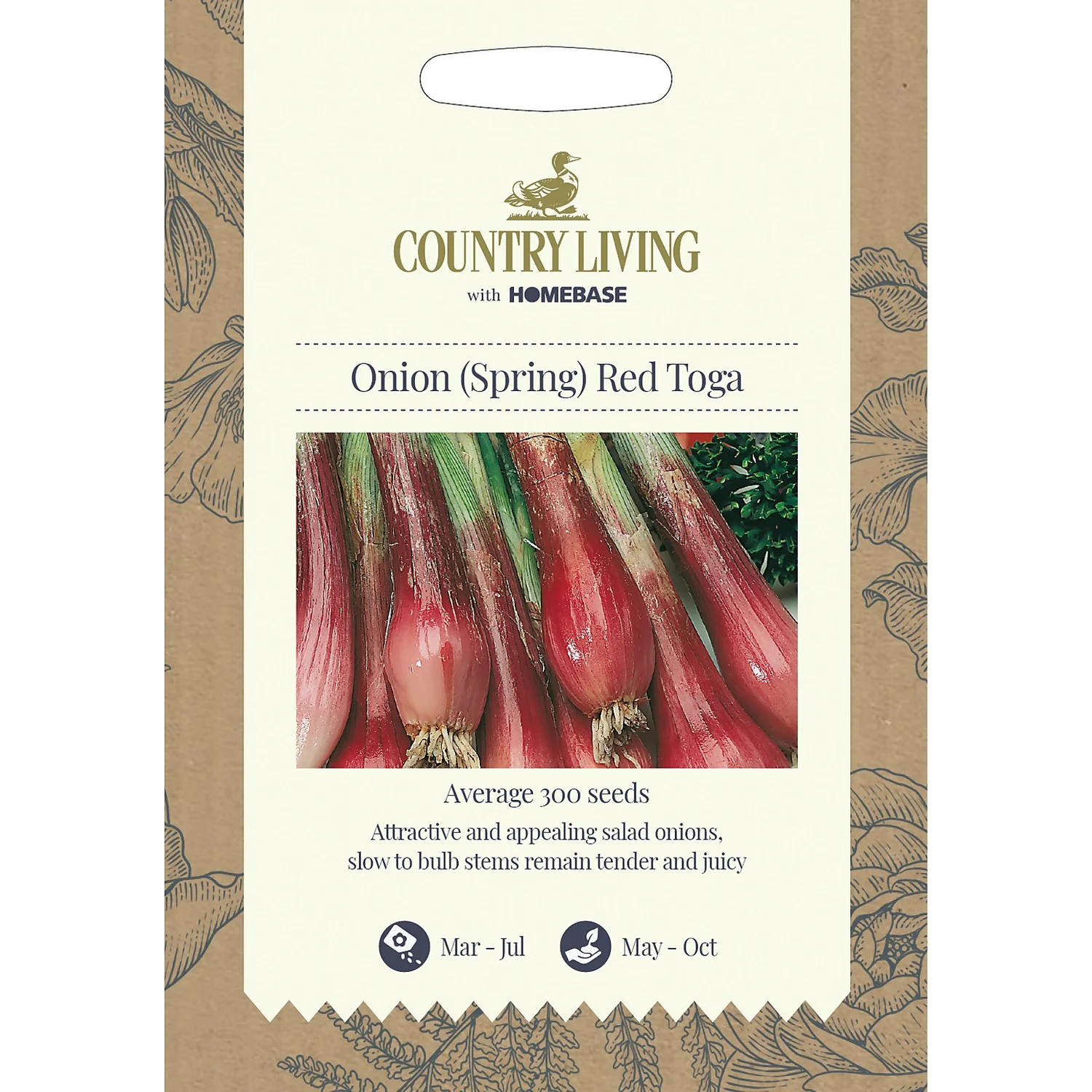 Country Living Onion Spring Red Toga Seeds 3 Country Living Onion Spring Red Toga Seeds