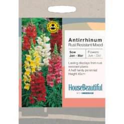 House Beautiful Antirrhinum Rust Resistant Mixed Seeds