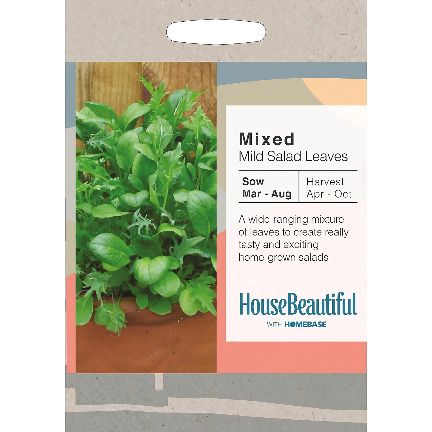 House Beautiful Mixed Mild Salad Leaves Seeds 3 House Beautiful Mixed Mild Salad Leaves Seeds