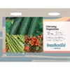 House Beautiful Climbing Vegetables Seeds -Shed And Soil Sales 13118313 1494889132240034