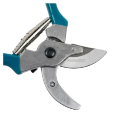 House Beautiful Secateurs - Teal 9 House Beautiful Secateurs - Teal -Shed And Soil Sales 13188709 1944928022515370