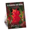 None Gladioli Kir Royal Flower Bulbs -Shed And Soil Sales 13436278 2025022421402128