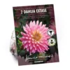 None Decorative Dahlia Extase Flower Bulbs -Shed And Soil Sales 13436283 4905022410545491