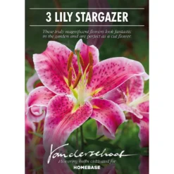 None Oriental Lily Stargazer Flower Bulbs -Shed And Soil Sales 13436287 3345022421627470