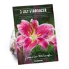 None Oriental Lily Stargazer Flower Bulbs -Shed And Soil Sales 13436287 8775022421579533
