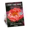 None Peony Lactiflora Coral Sunset Flower Bulb