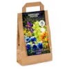 None Summer Shades Flower Bulb Collection -Shed And Soil Sales 13436292 1215022448144575