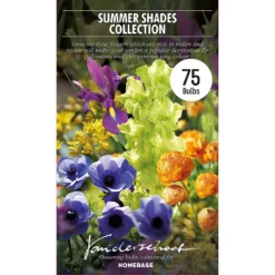 None Summer Shades Flower Bulb Collection -Shed And Soil Sales 13436292 5715022448218189