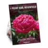 Peony Karl Rosenfield Flower Bulb -Shed And Soil Sales 13436298 4975022447876564