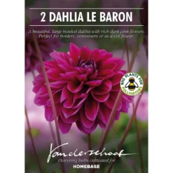 Dahlia Le Baron Flower Bulbs -Shed And Soil Sales 13436310 1655022448200078