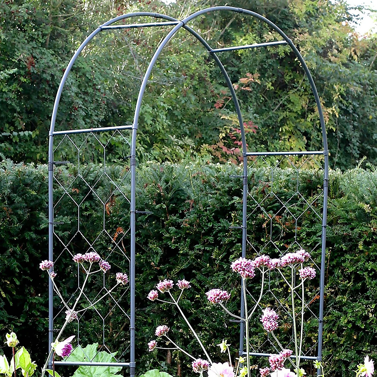 Agriframes Round Garden Arch - (H)2.1 X (W)1.2 X (D)0.45 M - Black 4 Agriframes Round Garden Arch - (H)2.1 X (W)1.2 X (D)0.45 M - Black - Image 2