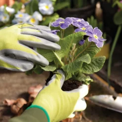 Kew Gardens Seeding And Weeding Gardening Gloves - Large 5 Kew Gardens Seeding And Weeding Gardening Gloves - Large -Shed And Soil Sales 13991761 1224996464810144
