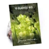 Gladiolus Kio -Shed And Soil Sales 14194646 1415015428836129