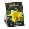 Lillium Golden Splendour -Shed And Soil Sales 14194648 1145015428836123