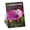 Anemone Coronaria Sylphide -Shed And Soil Sales 14194649 1565015428719975