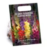 Gladiolus Bright Mixed -Shed And Soil Sales 14194651 2865015428864833