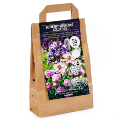 Collection Butterfly Attracting