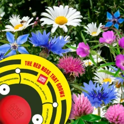 The Red Nose That Grows - The Bee -Shed And Soil Sales 14266477 1195028117680808